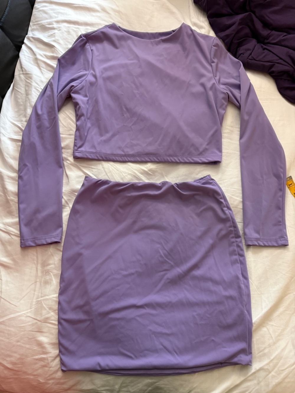 Lilac Long-Sleeve Crop Top and Skirt Set - Women's Two-Piece